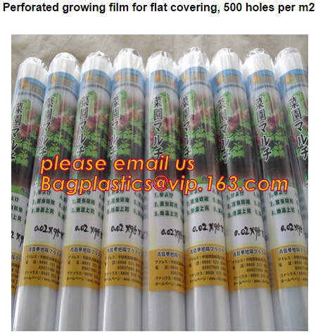 HOTICULTURAL MULCH FILM,AGRICULTURAL PE FILM,MARKET GARDENERS CLOCHE FILM,PE FILM FOR CORN,PLASTIC FILM COVER,TOMATO COV