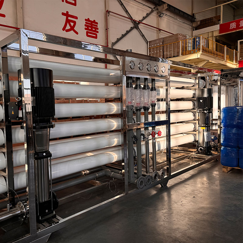 1000 Liters 264 Gallons/hour Assembled Well Water Purification Water Treatment Equipment Drinking Water Purifier