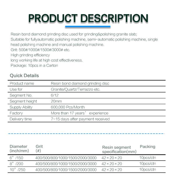 Customized Support OEM Fine Grinding on Granite 10 Inch Diamond Resin Bond Grinding Plate