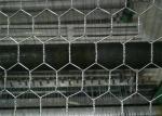 Electro Galvanized After Weaving Hexagonal Chicken Wire Mesh Netting