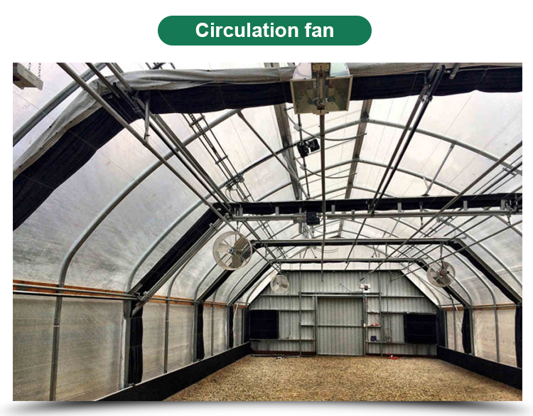 Length 30-100m Hoop House Light Deprivation Greenhouses for Mushroom Large