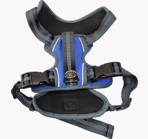 Quality Adjustable dachshund Small Dog Back Brace Multi Color Sponge Polyester for sale