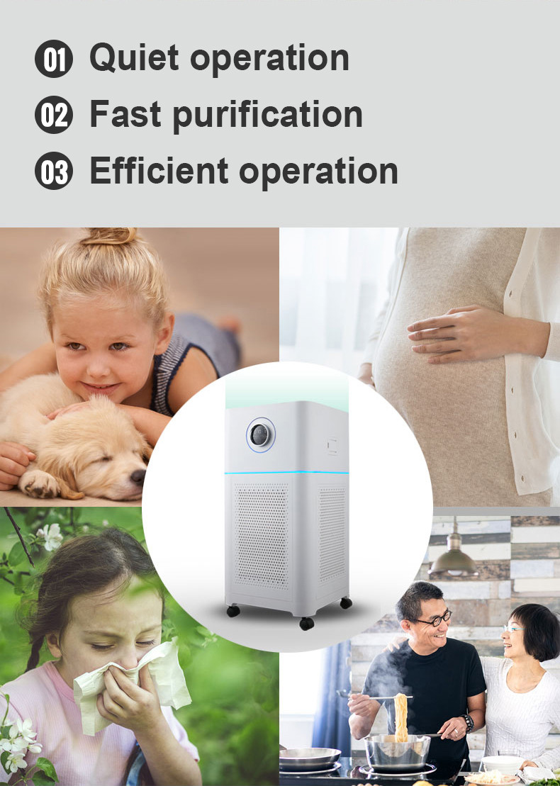 H11 H13 65dB Hepa Air Purifier Smoke Odor Sensor Office Home Use