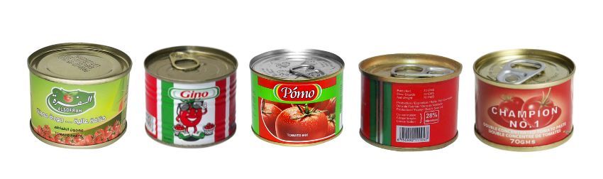 Custom branding and packaging examples