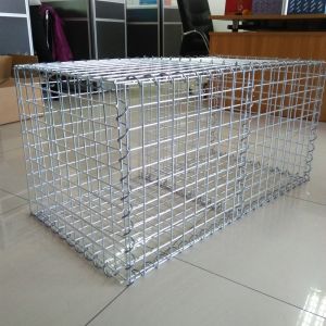 China Fence Hot Galvanized Welded 2mm Wire Mesh Gabion wholesale
