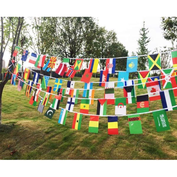 Polyester Bunting Flags Outdoor , 10*15cm Decorative International String Flags
