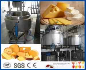 200 - 50000LPD Turn Key Project Cheese Making Equipment with Plastic Bottle Package