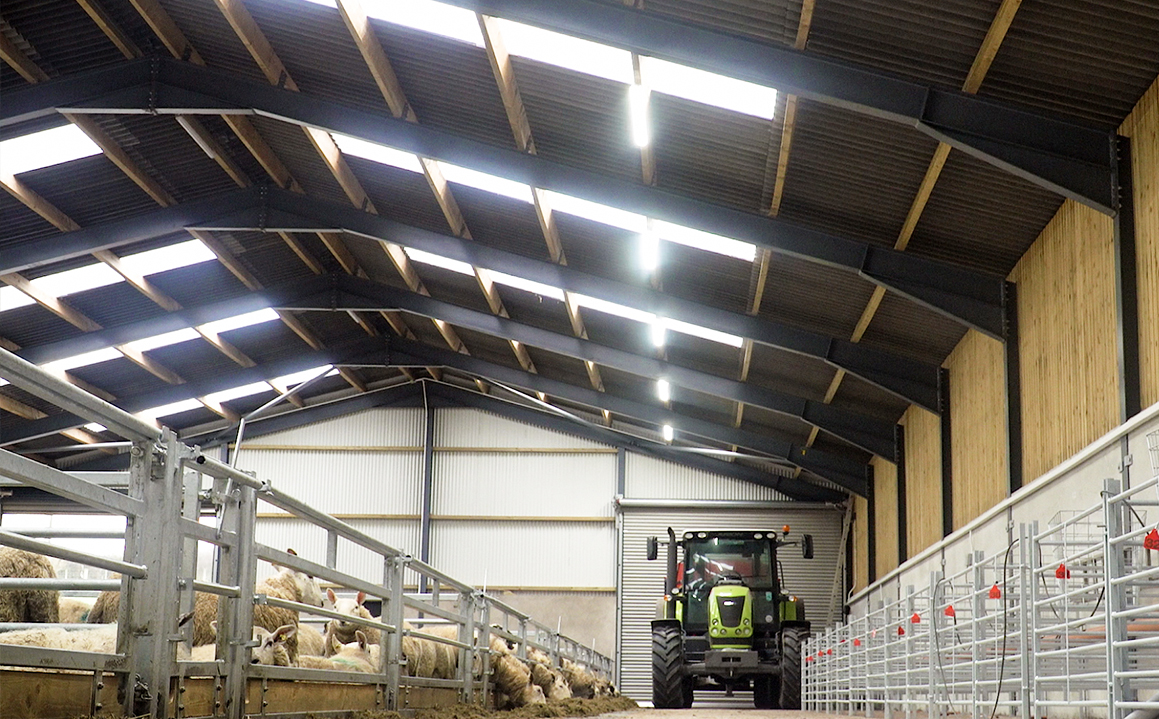 Sliding Door and Roller Door Design Q345 Metal Frame Goat/Sheep House for Cow/Cattle Farm