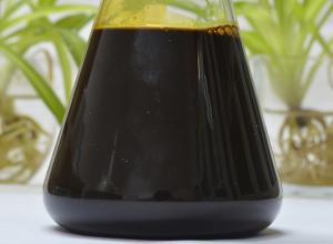 Supercritical CO2 Extraction Cinnamon Oleoresin