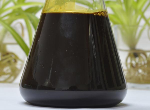 Quality Supercritical CO2 Extraction Cinnamon Oleoresin for sale