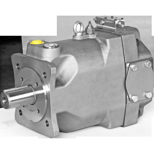 Quality PVplus Series Axial Piston Pumps for sale