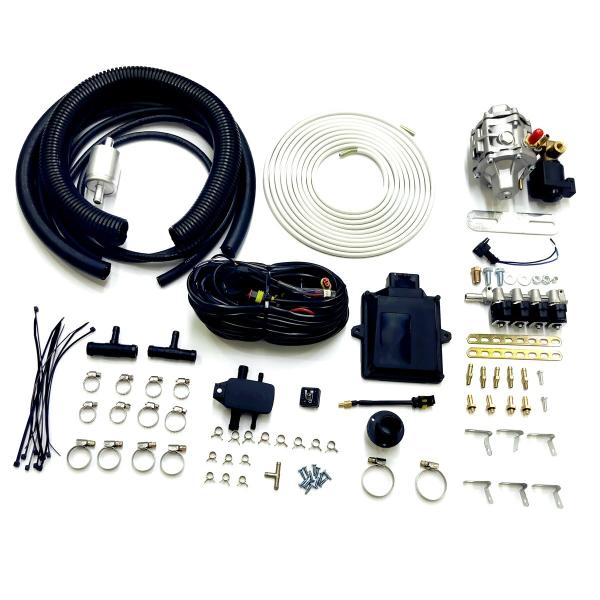 Quality CNG LPG Cars Multipoint Conversion Kits With 48 Pin ECU IG1 Injector Rail AT12 Reducer for sale