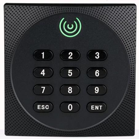 Quality 125Khz / 13.56Mhz Access Control RFID Card Reader Standalone Pin Card for sale
