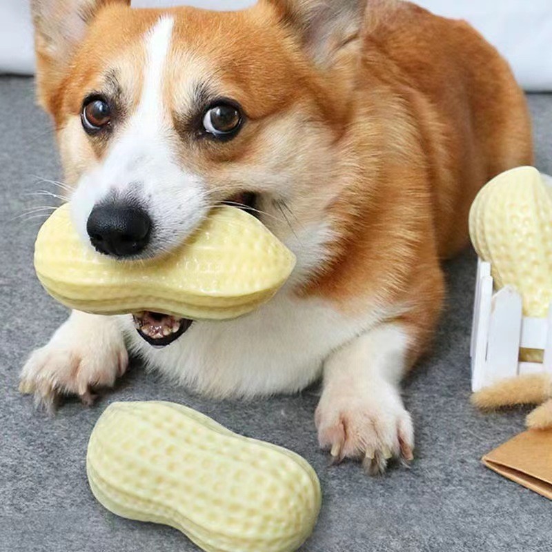 Pet Chew Toy Grinding Teething Bite Squeaky Vinyl Material Milk Fragrance Peanut For Cats And Dogs