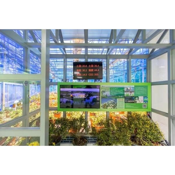 Wet Curtain Controlled Inlluminating Greenhouse