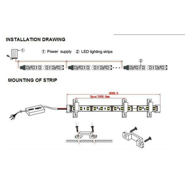 Best-selling SMD3528 240leds/m 12V LED Strip lights