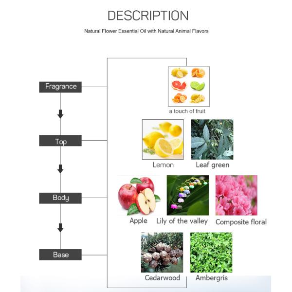 Office Lemon Essential Oils / Smell Well Frankincense Essential Oil