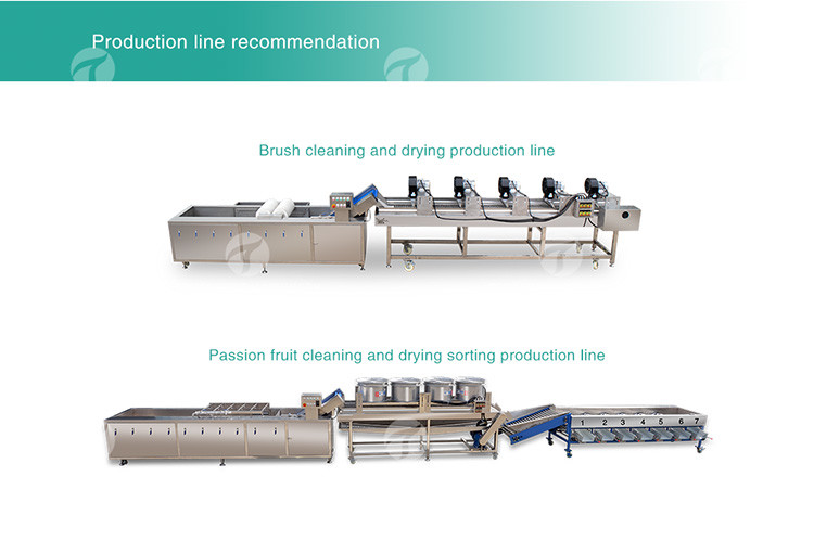 Circulating Hole Fruit Processing Line , Tengsheng Roller Conveying Vegetable Processing Line
