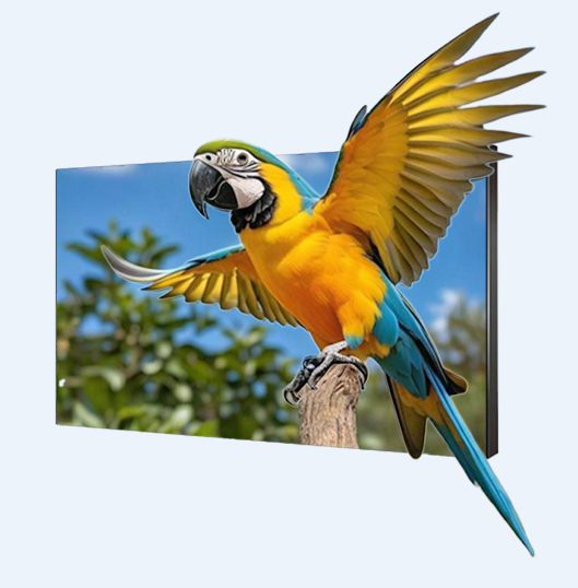 Indoor Polarization Optics 3D Video Player Screen LED Display with Glasses