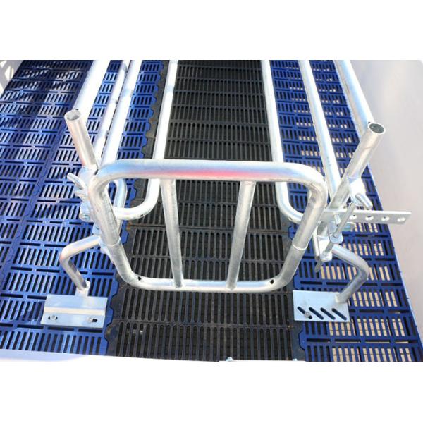 OEM ODM 304 Stainless Steel Farrowing Crates Swine Gestation Crates
