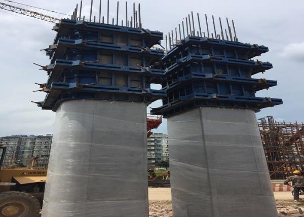 Quality Bridge Viaduct  Steel Column Formwork Multi Structure Assembled Reliable Structure for sale