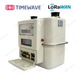 LoRaWAN Smart Gas Meter Secure Gas Consumption Meter Lithium Battery Digital