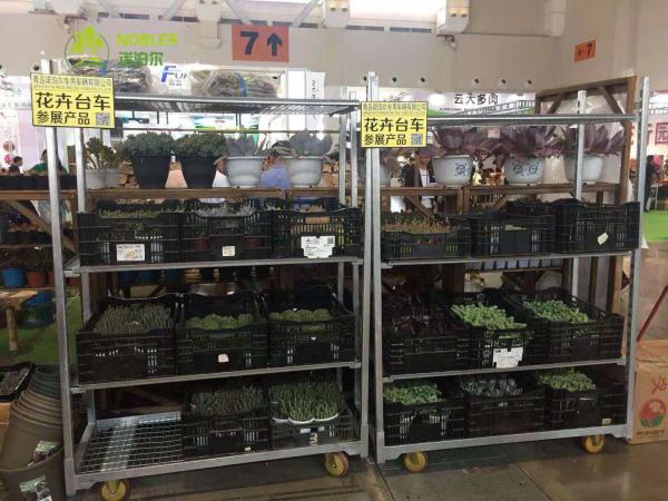 Quality Transporting CC Container Danish Flower Pot Garden Center Showframes Pool Display Rack for sale
