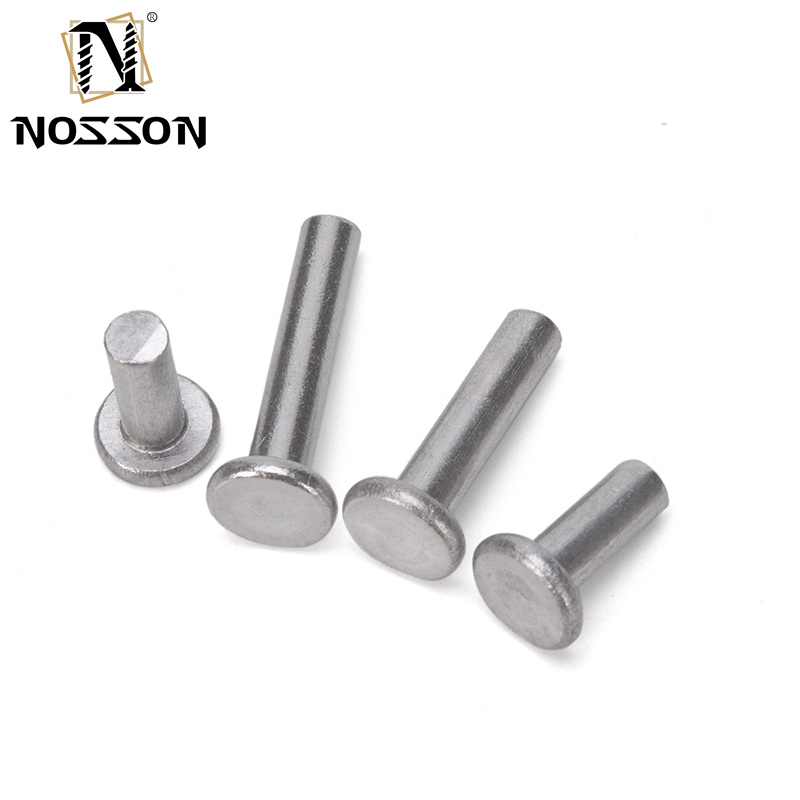 Aluminium Flat Thin Head Iron Rivet Solid Rivet Handle Knock Rivet Kit for Brake and Clutch Lining in Bright Finish Easy