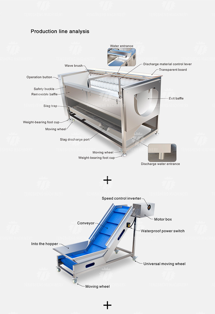 Industrial Fruit And Vegetable Processing Line Brush Bubble Cleaning Drying Selection And Cutting