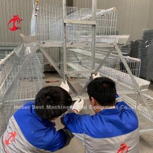 China Feeding Trough Of Chicken Poultry Farming Cage System In Nigeria Ghana Zambia Cameroon Farm Doris wholesale