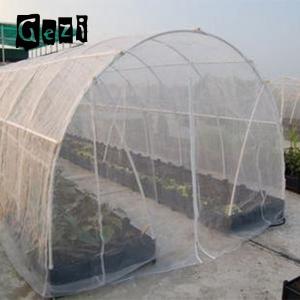 China 130gsm Heat Resistance Insect Mesh Netting For Blocking Light wholesale