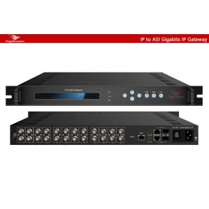 China IP gateway(digitovision) wholesale