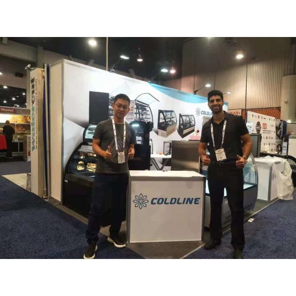 7.5 Amps Curved Glass Ice Cream Display Freezer R290 Refrigerant