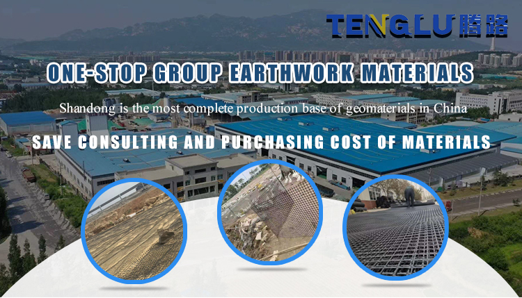 Geogrids for Driveway Road Reinforcement Retaining Wall Plastic Bia-xial Geogrid