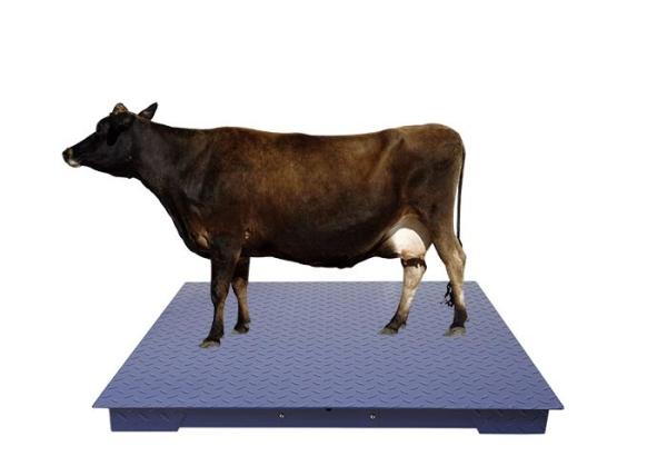 Quality High Precision Sensor Heavy Duty Floor Scales With Tread Plate for sale