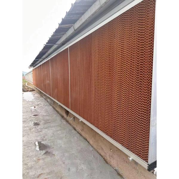 Steel Piggery House Onsite Installation Chicken Shed Construction