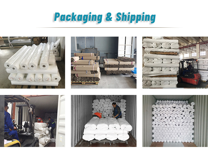 Polyester Garment Interlining With Double Dot Coating And Oeko Tex Class I Are