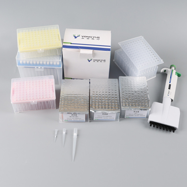 Tissue FFPE RNA Extraction Kit For Automatic Extraction Machine Nucleic Acid Extraction Reagent Box