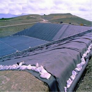 Waterproof HDPE Geomembrane Dam Liner Pond Liners Membrane 0.5mm to 2mm for Earthwork
