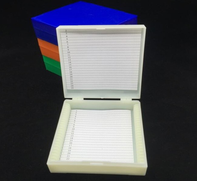Biological Microscope Prepared Slides 25Pcs For Science Education