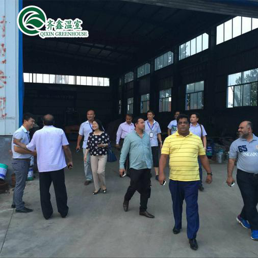 PO Single Layer Greenhouse for Agriculture Boost Agricultural Production