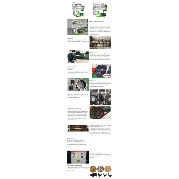 High Performance Pellet Production Equipment Animal Feed Making Machine