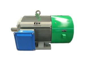 Custom Brushless Permanent Magnet Wind Generator Three Phase Low Rpm