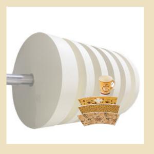China Customized Paper Cup Bottom Roll For Raw Material Paper Cups With FSC Certified wholesale