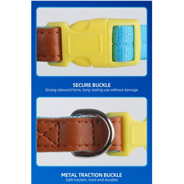 Pet Lightweight Multicolor Anti-Escape Pet Collar And Leash Set For Training Walking Dogs