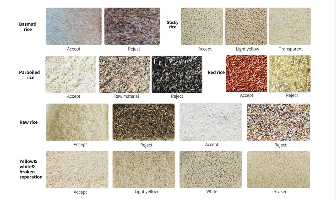 Ccd Cameras Grain Colour Sorter with High Performance LED Optical System