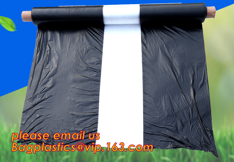 HOTICULTURAL MULCH FILM,AGRICULTURAL PE FILM,MARKET GARDENERS CLOCHE FILM,PE FILM FOR CORN,PLASTIC FILM COVER,TOMATO COV