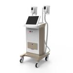 Cryolipolysis Fat freeze Slimming Machine most effective non invasive cool body