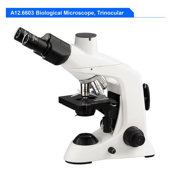Multifunction Compound Optical Microscope Biological Monocular 1000x Microscope