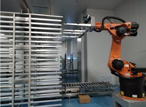 China Floor Mounting Position Palletizing Robot and Efficiency with Training wholesale